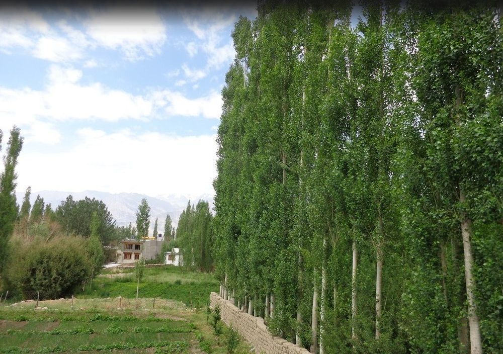 Hotel Holiday Ladakh Leh Exterior photo